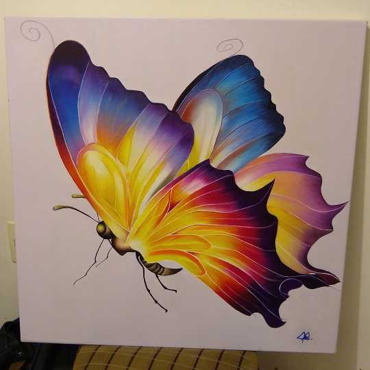 Butterfly