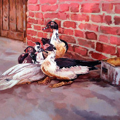 Ducks' House
