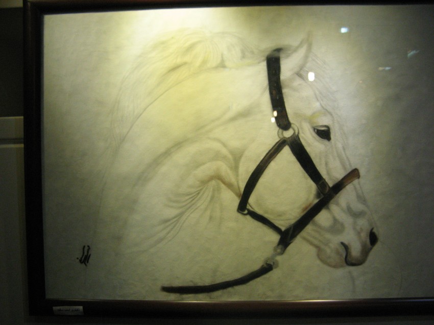 Horse