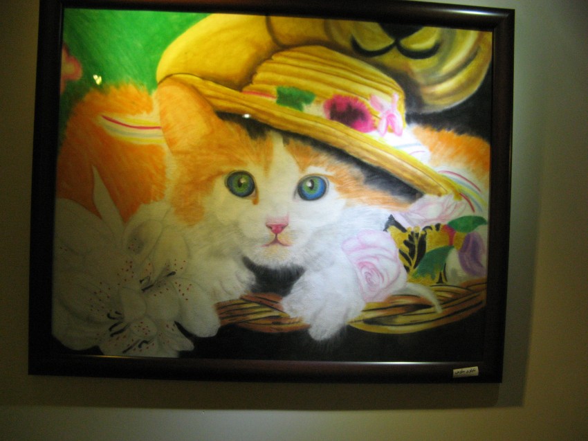 Cat