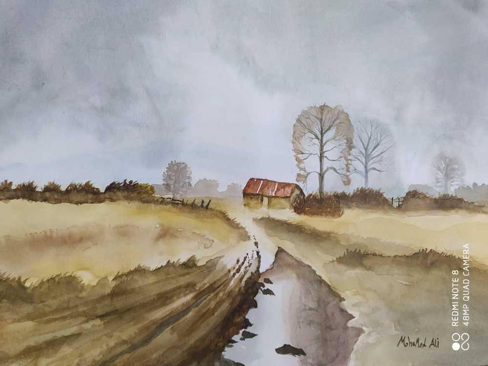 Landscape
