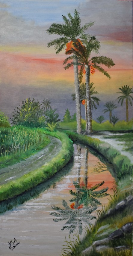 Palm Trees