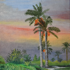 Palm Trees
