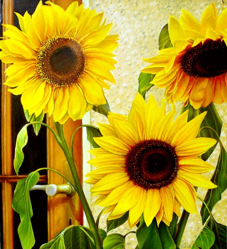 sunflowers