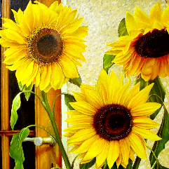 sunflowers