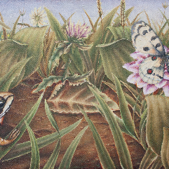 Carpathian Meadow