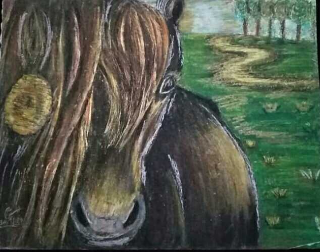 Horse