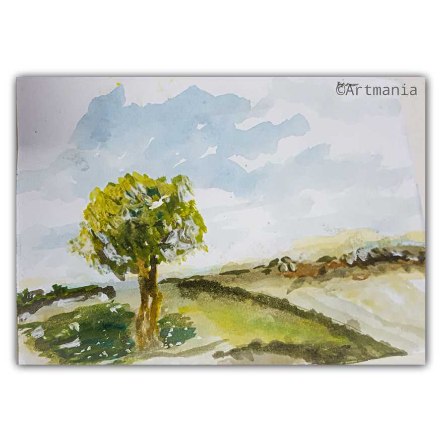 Fields