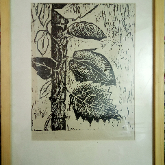 Tree Leaves (Wood Engraving)