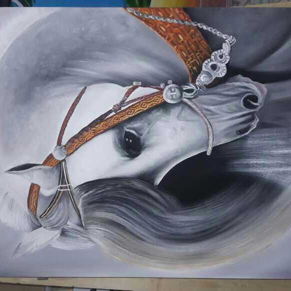 Horse's Beauty