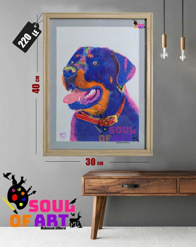Rottweiler Portrait