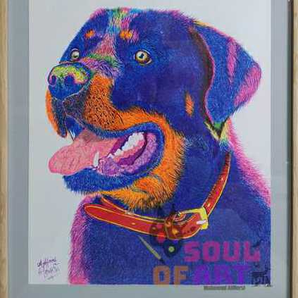 Rottweiler Portrait