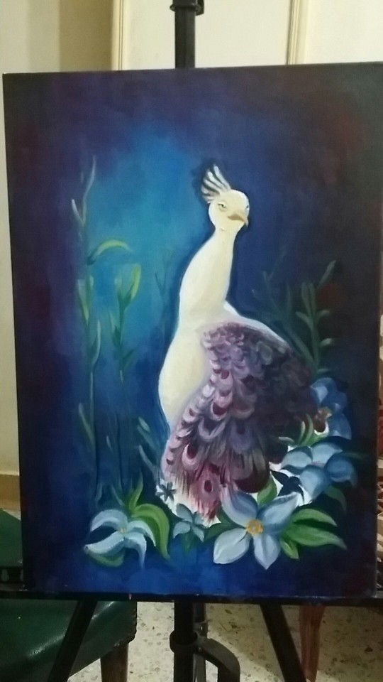 The White Bird
