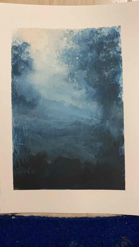 Forest 1