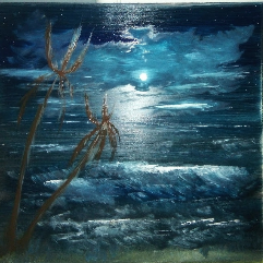 Moon In The Night Sky