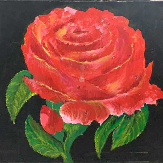 A Lone Flower