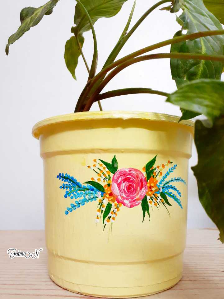 Plants Pot 3
