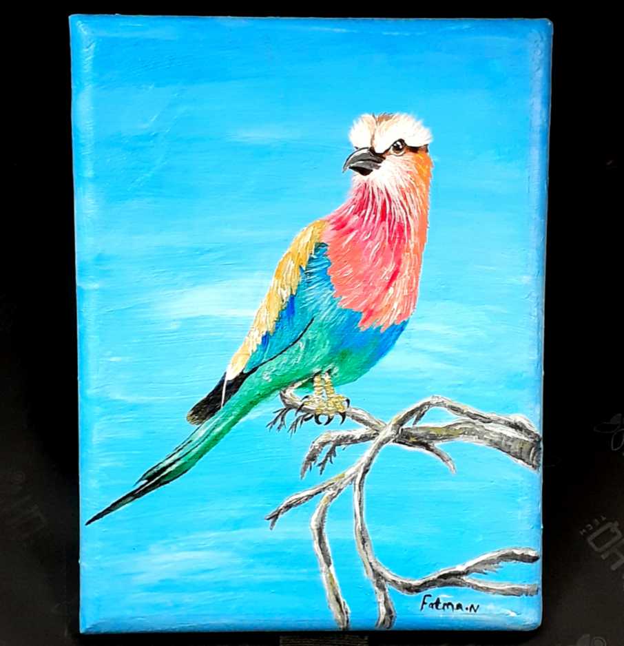 Lilac Breasted Roller Bird