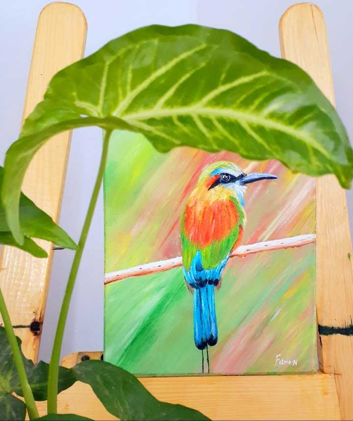 Turquoise browed motmot