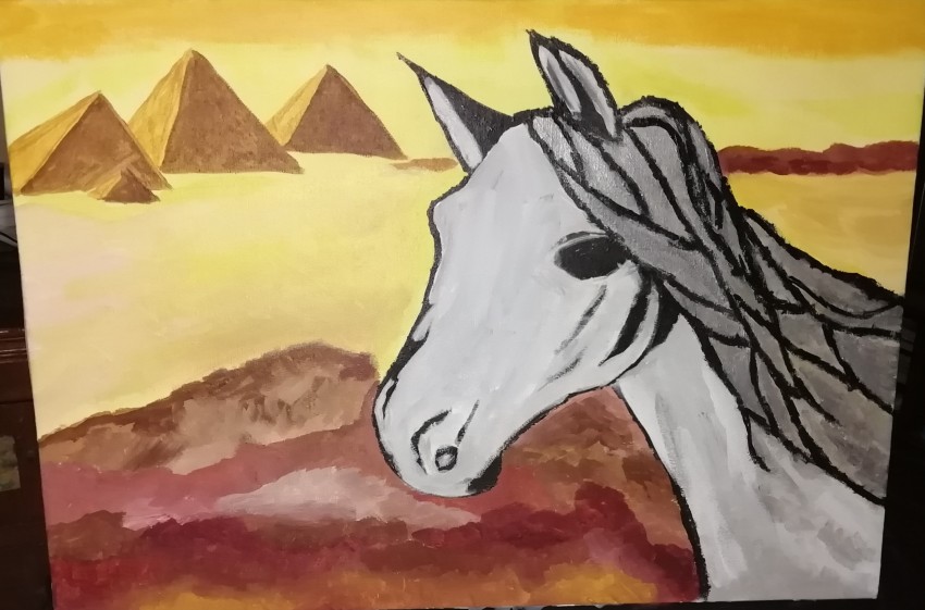 Arabian Horse