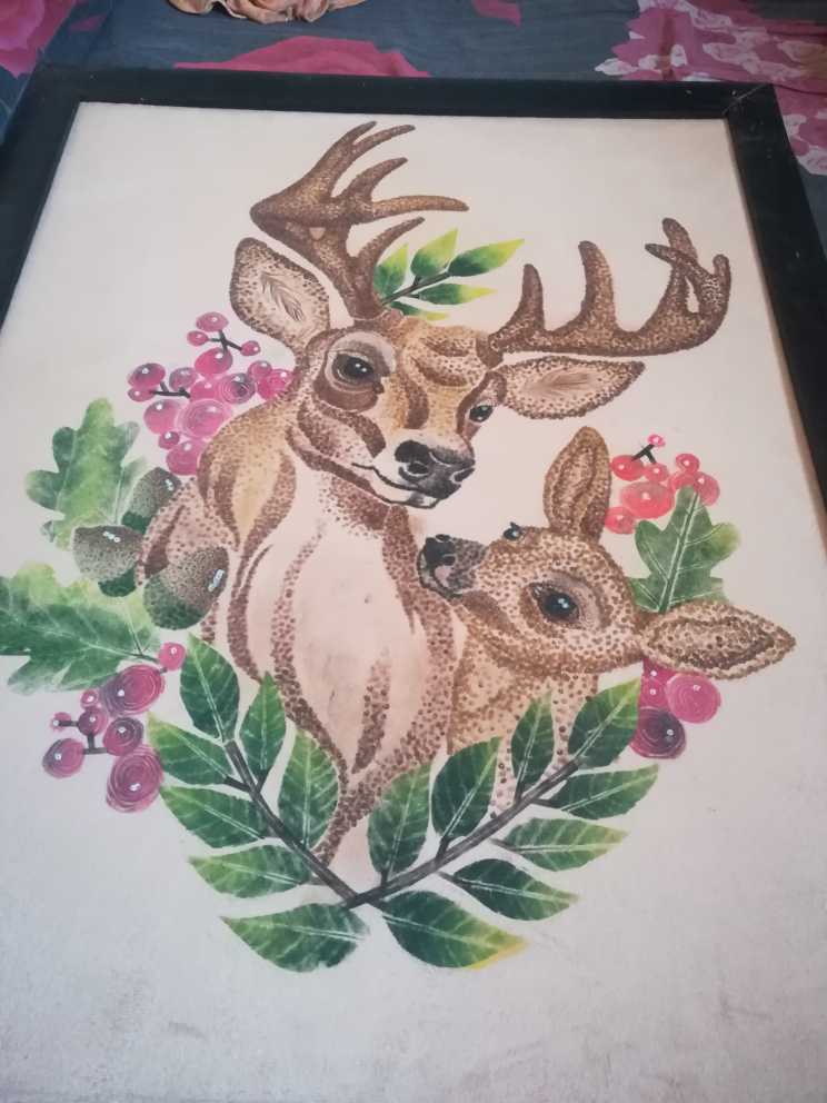 Deer
