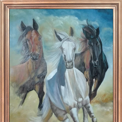 Arabian Horses 2