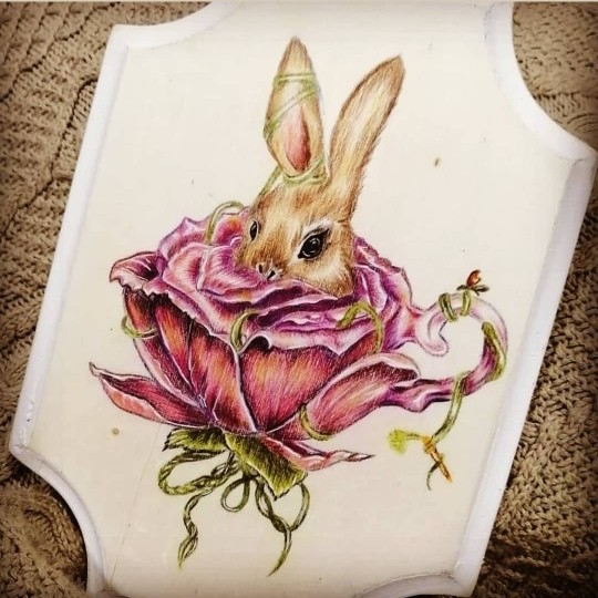 Bunny