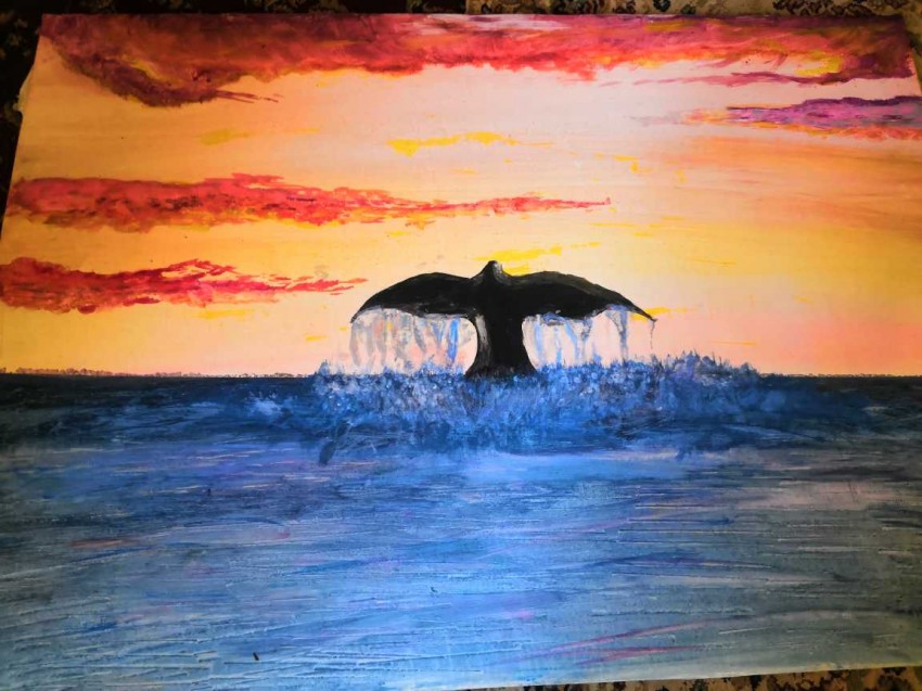 Whale's Fun
