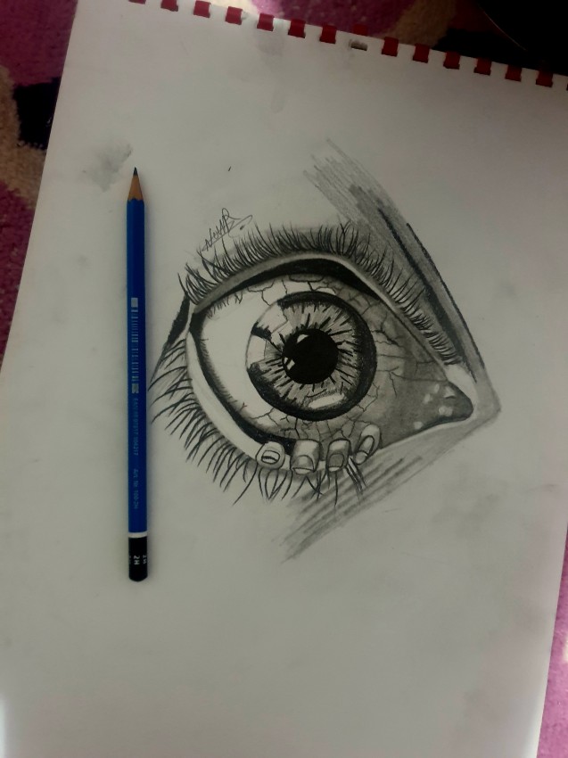 What The Eyes See