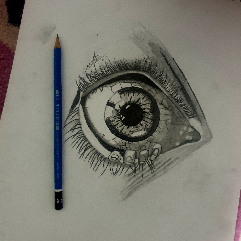 What The Eyes See