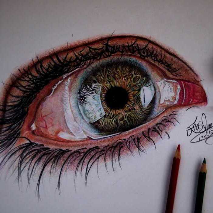 Eye
