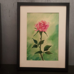 Pink Flower