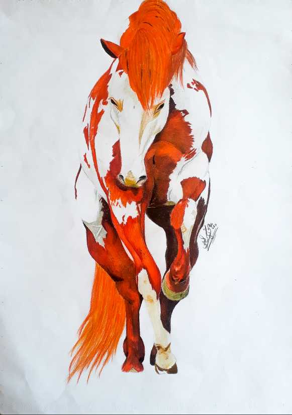 رقي الخيل
