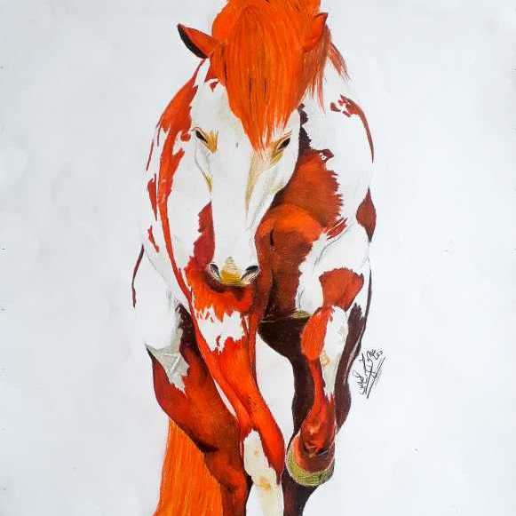 رقي الخيل