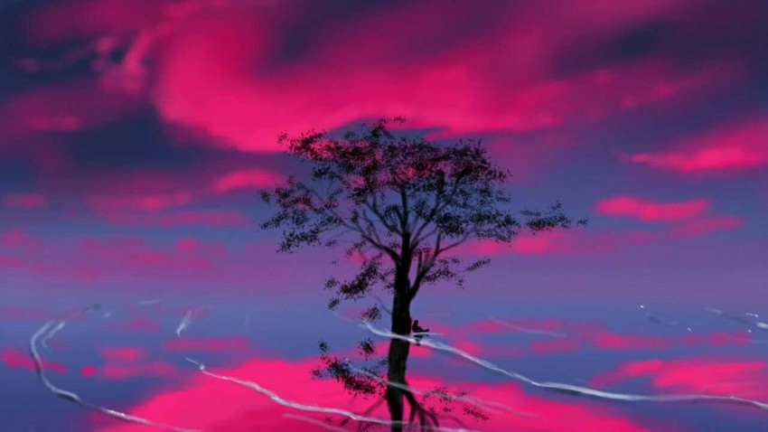 Reflection