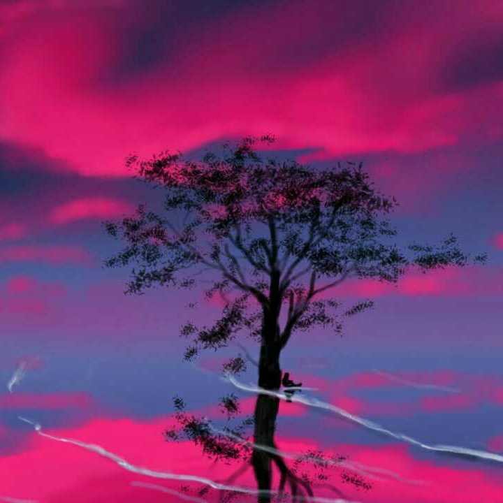 Reflection