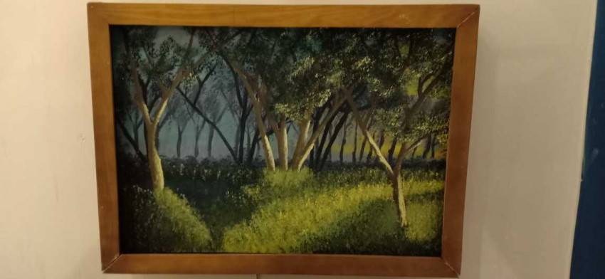 Forest fog at sunset