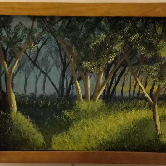 Forest fog at sunset