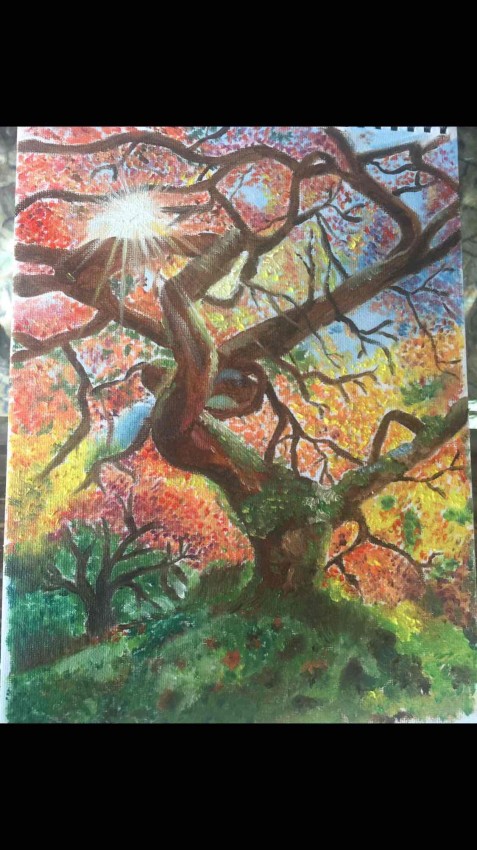 Sun Rays Through The Tree