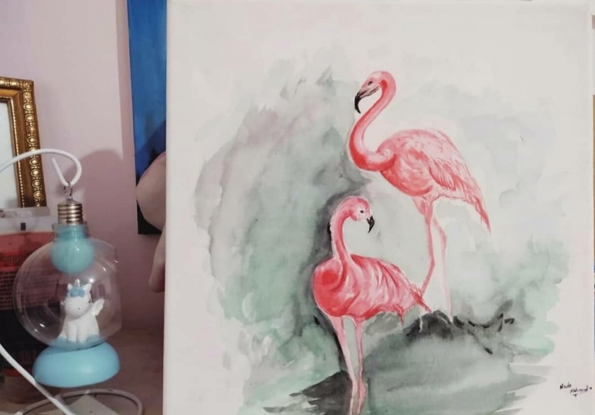 Flamingo