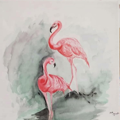 Flamingo