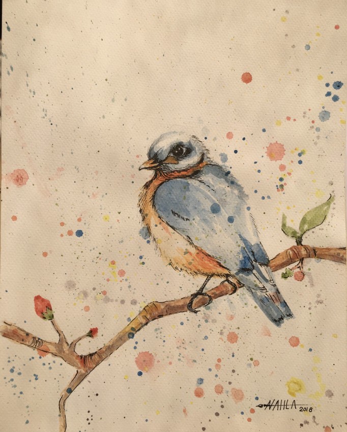 The Bird