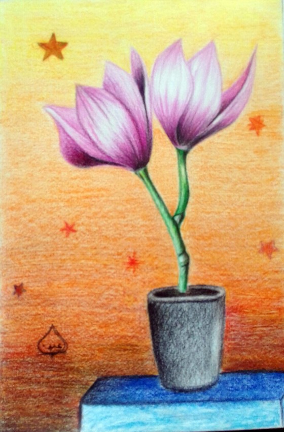 زهرة