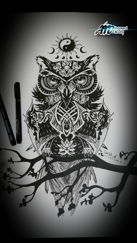 Owl