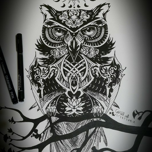 Owl