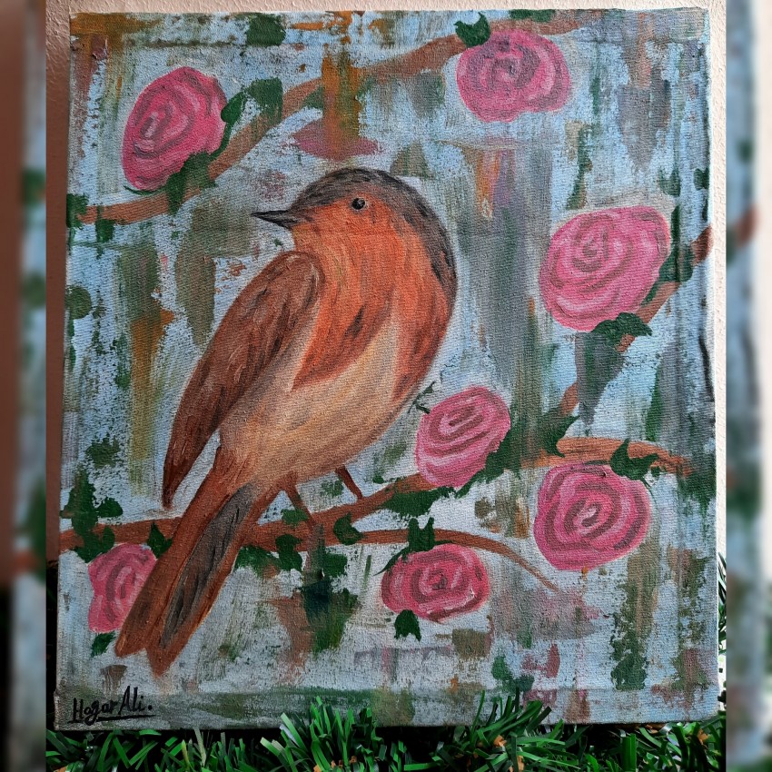 Robin Bird