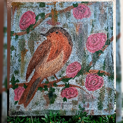 Robin Bird