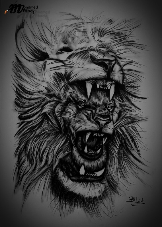 lion