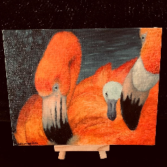 Flamingos Family