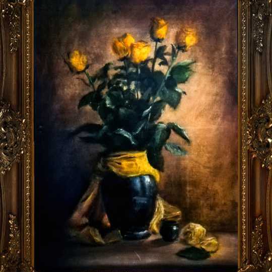 طبيعه صامته 7